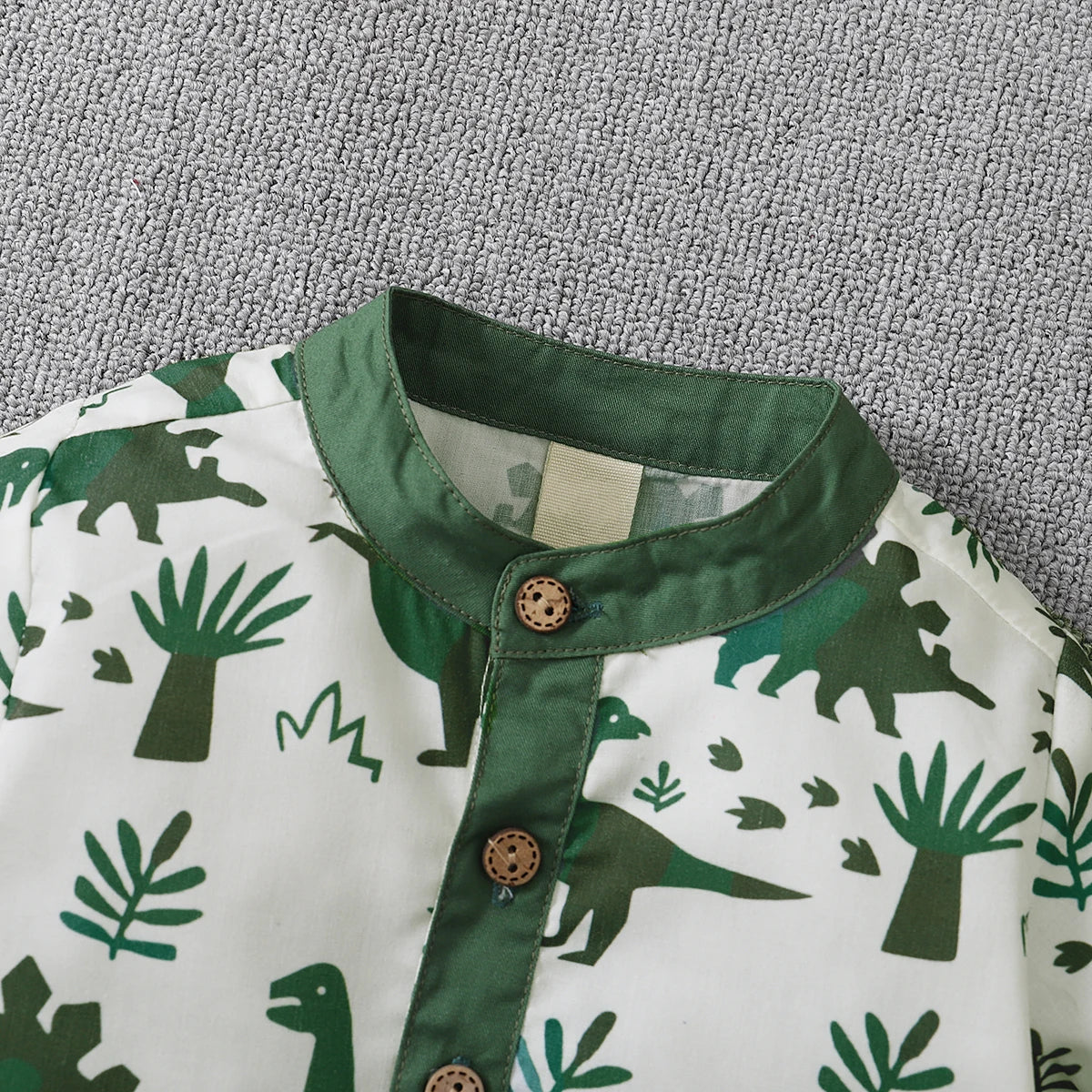 Toddler Boys Dinosaur Outfit Set