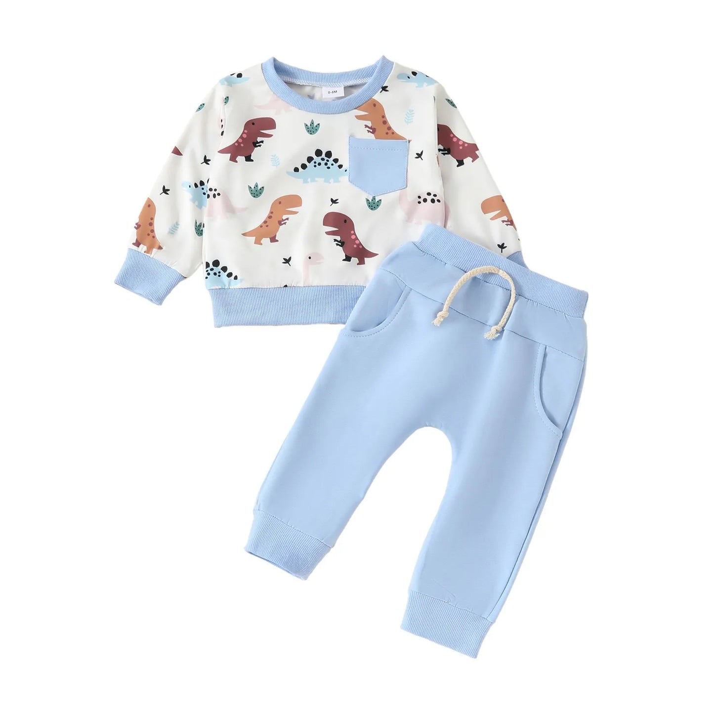 Baby Boys Dinosaur Pullover Outfit